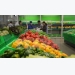 Vegetable, fruit exports estimated at 2.64 billion USD