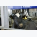 Precision dairy farming: What does it mean today?