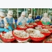 South Korea likes Vietnamese squid and octopus