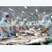 Vietnam qualified to export catfish to the US