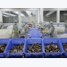 Shrimp by-products called ‘gold mine’ for processing industry