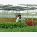 Financial support for farmers