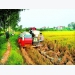 Land regrouping in Hanoi suburbs benefits farmers