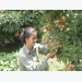 Kim Boi unlocks potential to develop agriculture