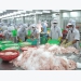 Modern processing, preserving technology ensures food safety: experts