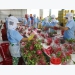Vietnam’s farm produce uncompetitive because of packaging problems