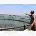 Time to tap ocean aquaculture potential