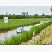 Australia-funded Project Improves Rice-shrimp Farming in Mekong Delta