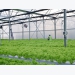 Vietnam’s agricultural processing sector remains at modest level