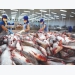 Tons of seafood get stuck in border due to China’s tight control