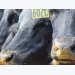 Progressive limit feeding may maximize cattle profits
