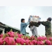 Agricultural exports rack up US$26 billion in eight months