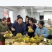 Vietnam’s fresh longan makes debut in Australia