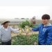 Cơ hội hợp tác nông nghiệp Việt Nam – Hàn Quốc