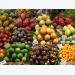 Việt Nam focuses on fruit exports for higher value