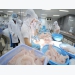Pangasius exports to the US: strictly control antibiotics residues