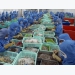 Vietnamese seafood exports increase after EVFTA comes into force