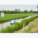 Ninh Bình’s farmers earn high income from rice-fish farms