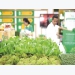 Vietnam’s vegetables, fruits ready to enter choosy markets