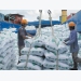 Vietnam grabs position as second largest rice exporter from Thailand