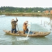 Responsible shrimp farming ensures favorable income in Binh Dinh