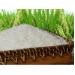 Gạo Việt khó được mùa khi gia nhập TPP