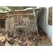 Hiệu quả mô hình nuôi gà thả vườn ở xã Diên Phú 