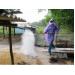 Tiêu hủy 1.200 con gia cầm nhiễm H5N6 tại Cẩm Xuyên