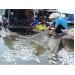 Vụ cá chết hàng loạt trên sông Chà Và các DN chế biến hải sản chưa đồng ý mức bồi thường