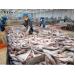 Xuất khẩu cá tra sang 5 thị trường chính sụt giảm