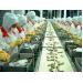 Nông nghiệp xuất siêu 7 tỉ USD