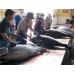 Seminar reviews project to develop tuna value chain