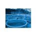Egyptian Aquaculturalists Best Management Practice Training Boosts Profits