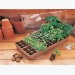 Expert Tips for Sowing Vegetables Seeds Successfully in Dry Weather