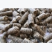 Sugar beet pulp key to extremely valuable industries