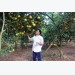 Ngày Nhà giáo Việt Nam: 