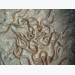 Sử dụng bồn nylon cải thiện năng suất nuôi lươn trên cạn