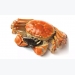 Crab makes debut on certification scheme