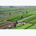 Vietnam, Brazil boast potential of agricultural, tourism cooperation