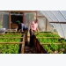 Aquaponics Farmers Band Together to Set Their Industry Apart