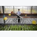 A vegetable, fish farming system that is truly green