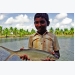 Thủy sản Ấn Độ: Phát triển bằng 3D mapping