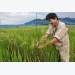 EU to lift import restrictions on Japanese agriculture products