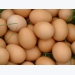 Canxi, nhân tố chính ảnh hưởng đến chất lượng vỏ trứng