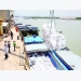 Vietnam hosts first international rice conference