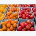 Bacterial diseases in tomatoes