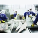 Fishery enterprises are in trouble because of IUU “yellow card'