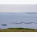 Salmon farm breathes new life into remote island community