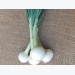 Marketing options for small-scale onion growers