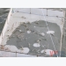 Cultivated shrimp infected with Hepatopancreatic Microsporidiosis for the first time